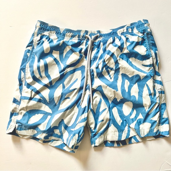 Express Mens Swim Trunks - Picture 1 of 4